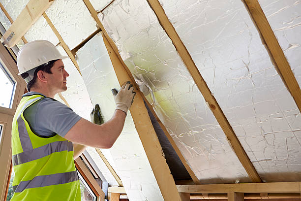 Best Eco-Friendly Insulation in La Selva Beach, CA